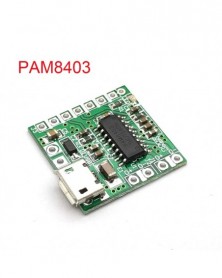 PAM8403 DC 5V Mini Class D...